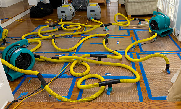 Professional Crawl Space Water Removal technician working in Surfside, CA